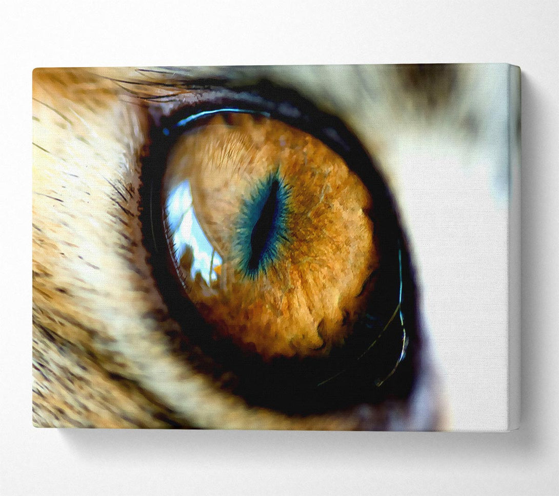  A Canvas Print of Mordor Eye Canvas Art