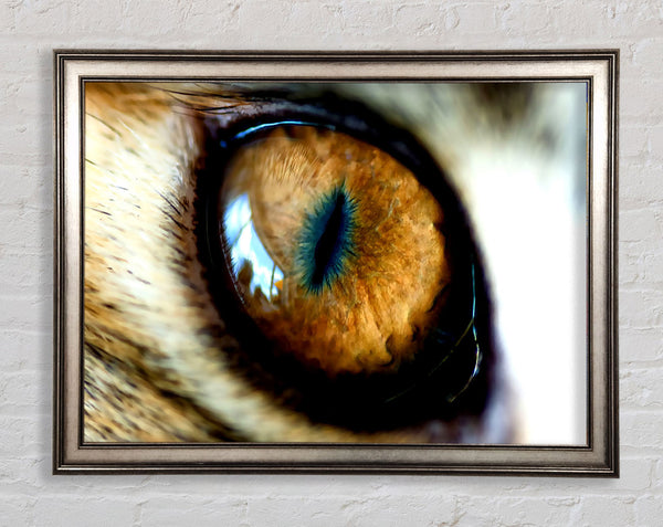 Mordor Eye Framed Print