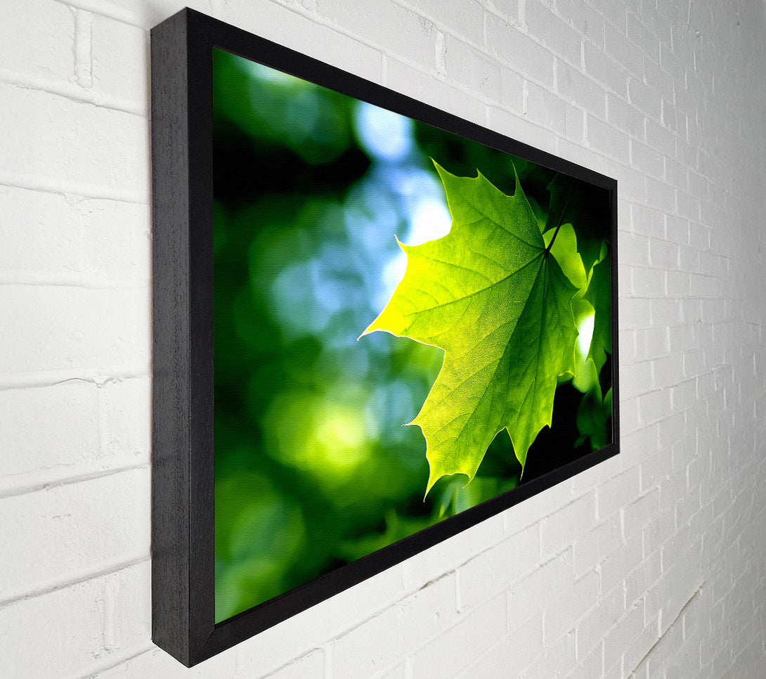  A Canvas Print of Green Leaf Canvas Wall Art