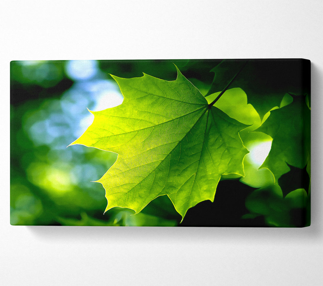  A Canvas Print of Green Leaf Canvas Wall Art