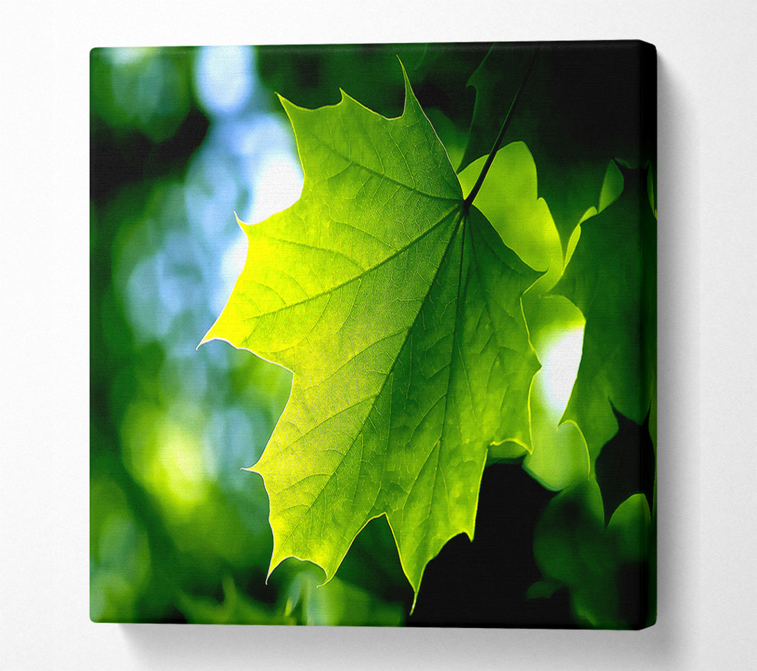  A Canvas Print of Green Leaf Canvas Wall Art