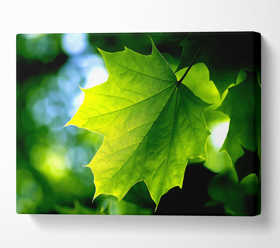  A Canvas Print of Green Leaf Canvas Wall Art