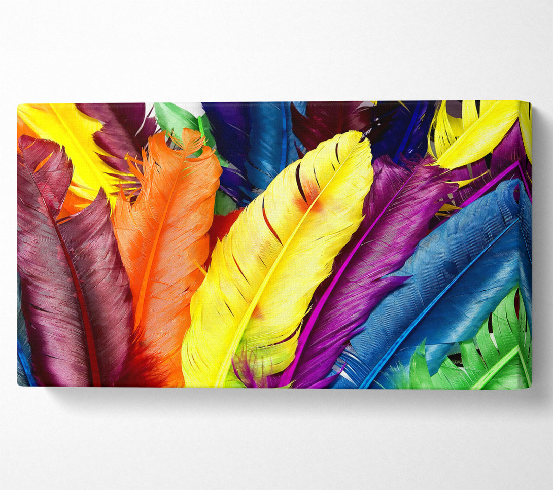  A Canvas Print of Feathers In Colours Canvas Print