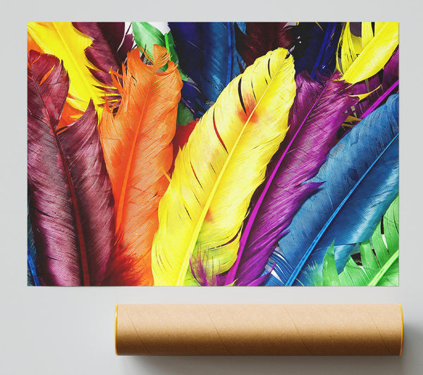 Feathers In Colours Poster