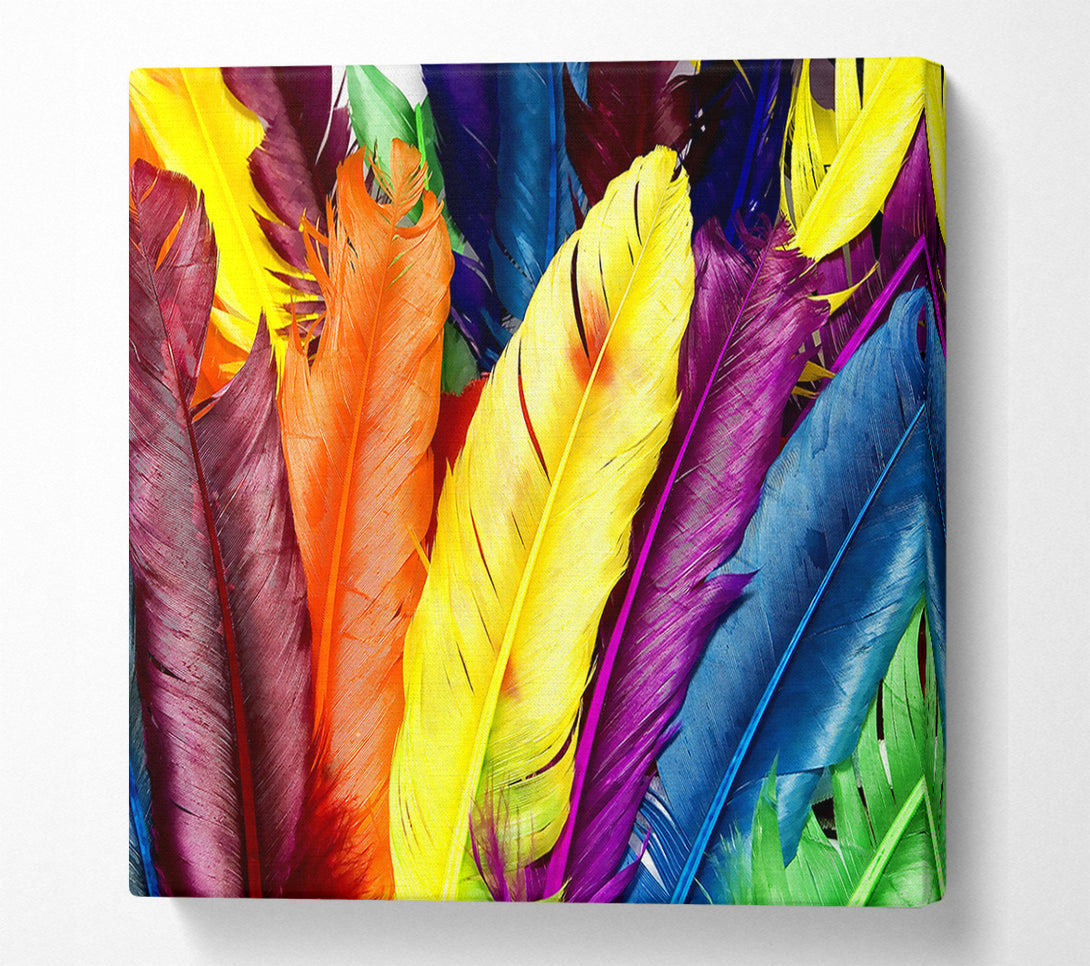  A Canvas Print of Feathers In Colours Canvas Print