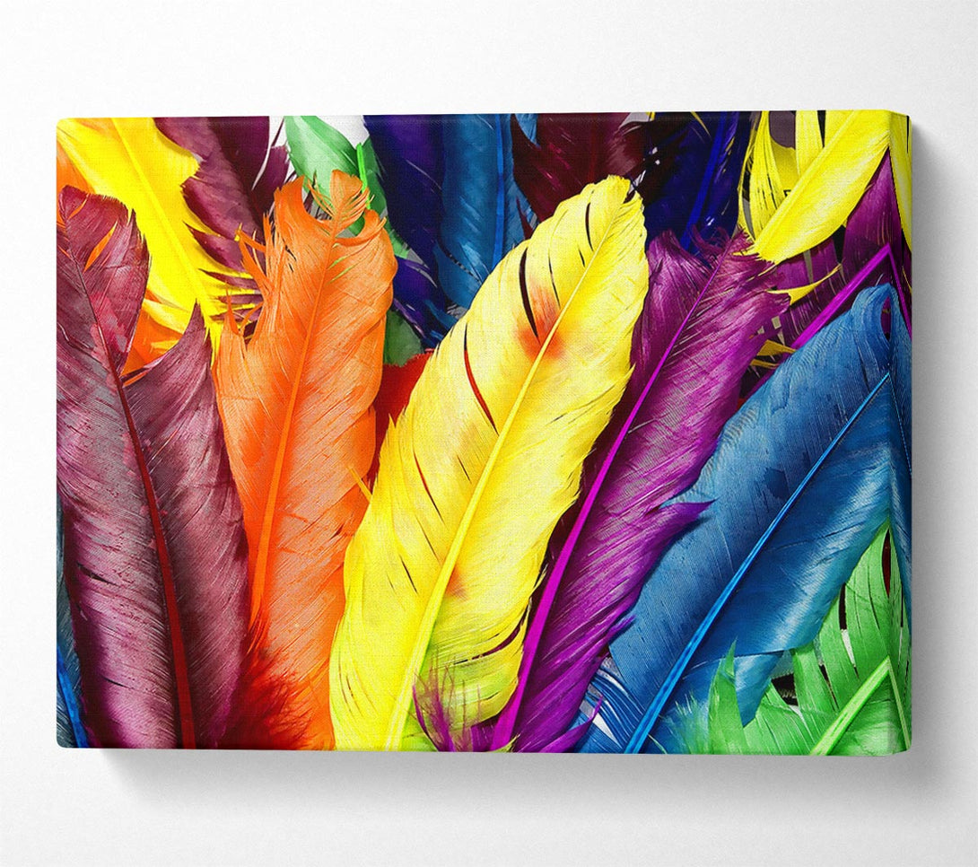  A Canvas Print of Feathers In Colours Canvas Print