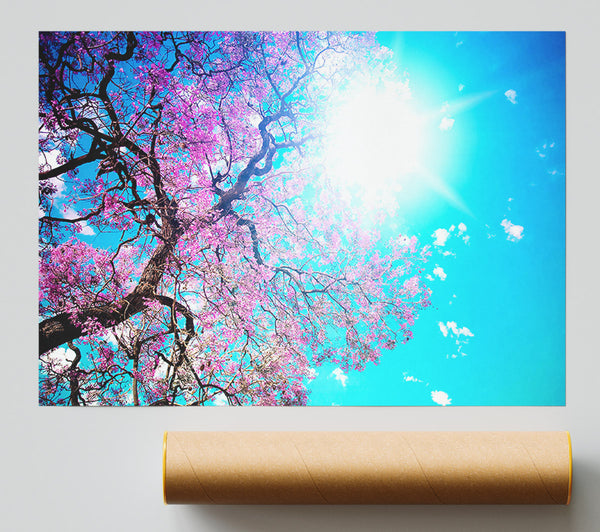Blooming Spring Poster