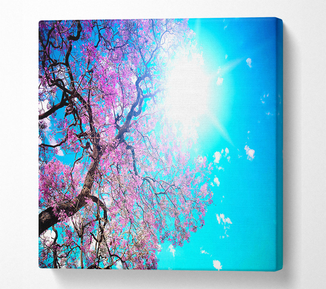  A Canvas Print of Blooming Spring Canvas Print