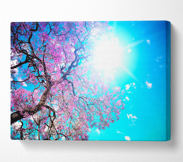  A Canvas Print of Blooming Spring Canvas Print