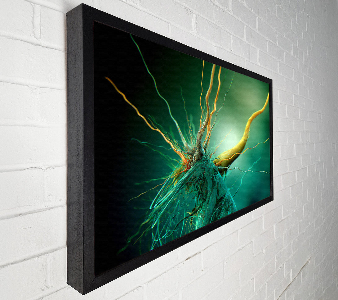  A Canvas Print of Bacteria Canvas Print