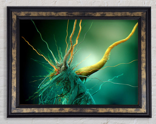 Bacteria Framed Print