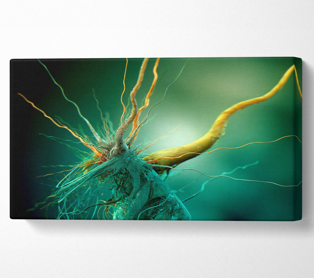  A Canvas Print of Bacteria Canvas Print
