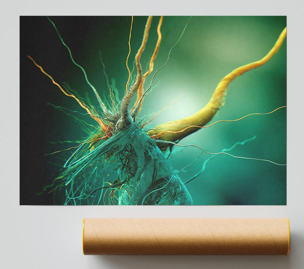 Bacteria Poster