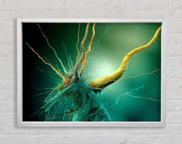 Bacteria Framed Print
