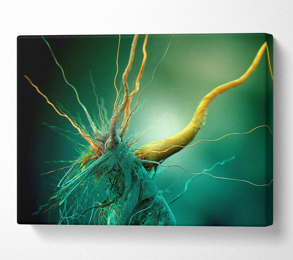  A Canvas Print of Bacteria Canvas Print