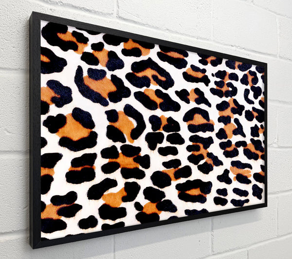 Animal Skin