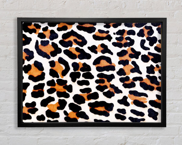 Animal Skin