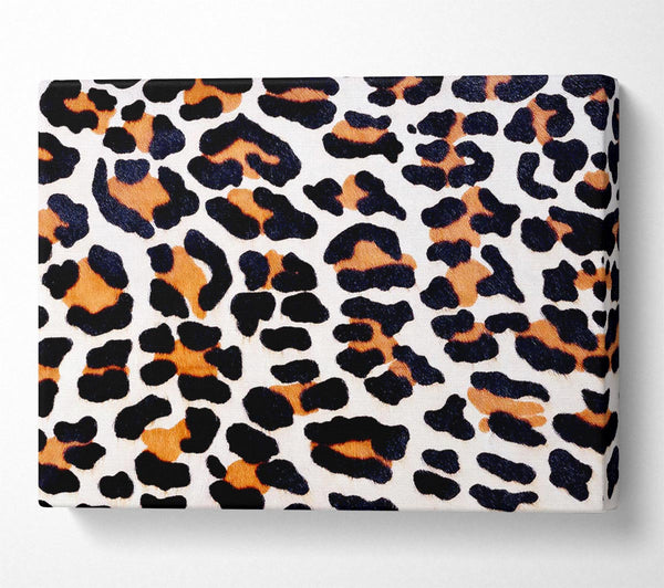  A Canvas Print of Animal Skin Canvas Print