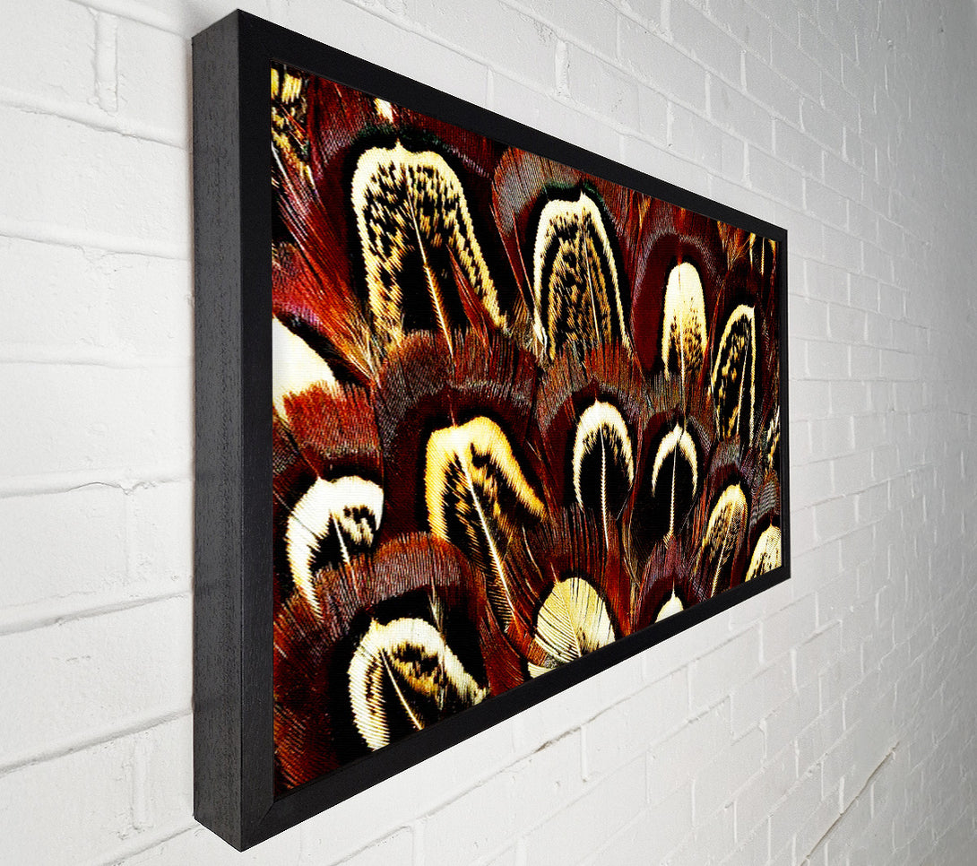  A Canvas Print of Feather Fan Canvas Art