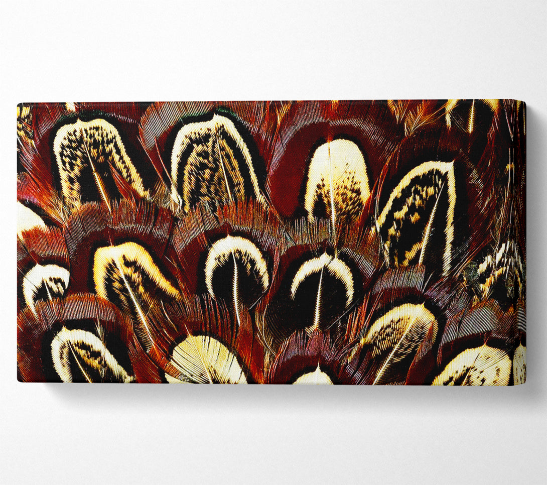  A Canvas Print of Feather Fan Canvas Art