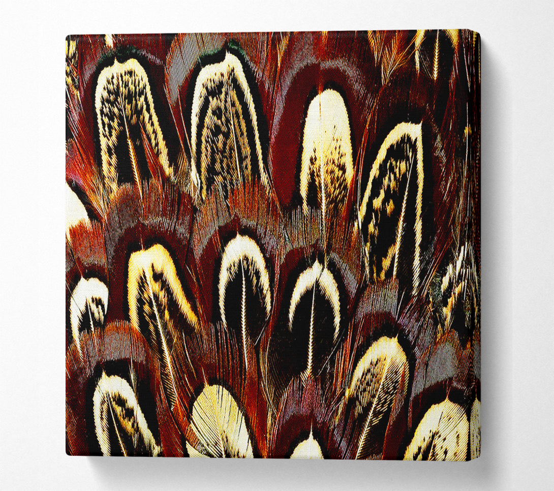  A Canvas Print of Feather Fan Canvas Art