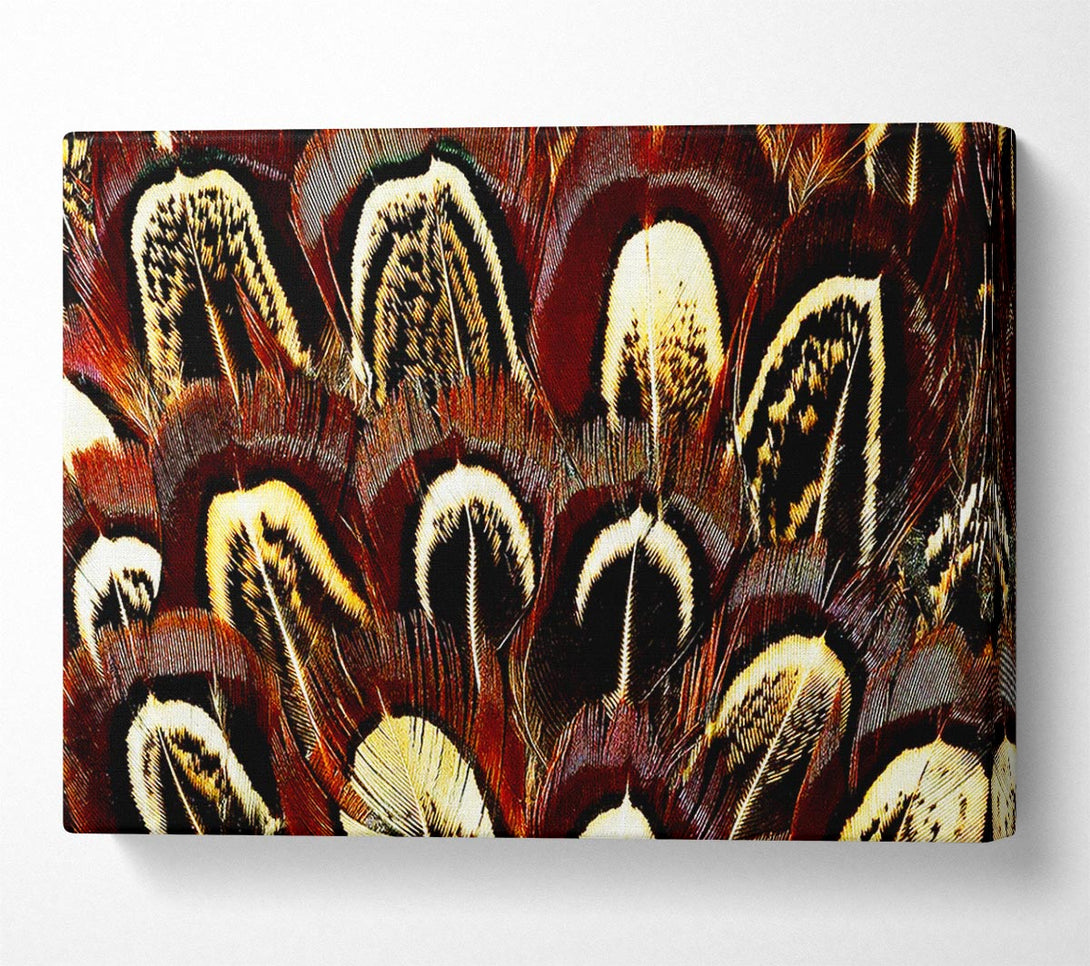  A Canvas Print of Feather Fan Canvas Art