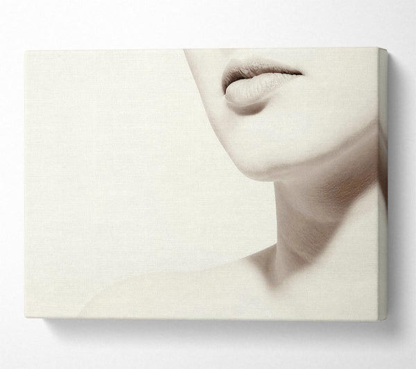  A Canvas Print of Flawless Skin Canvas Wall Art