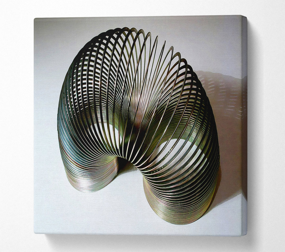  A Canvas Print of Slinky Canvas Print