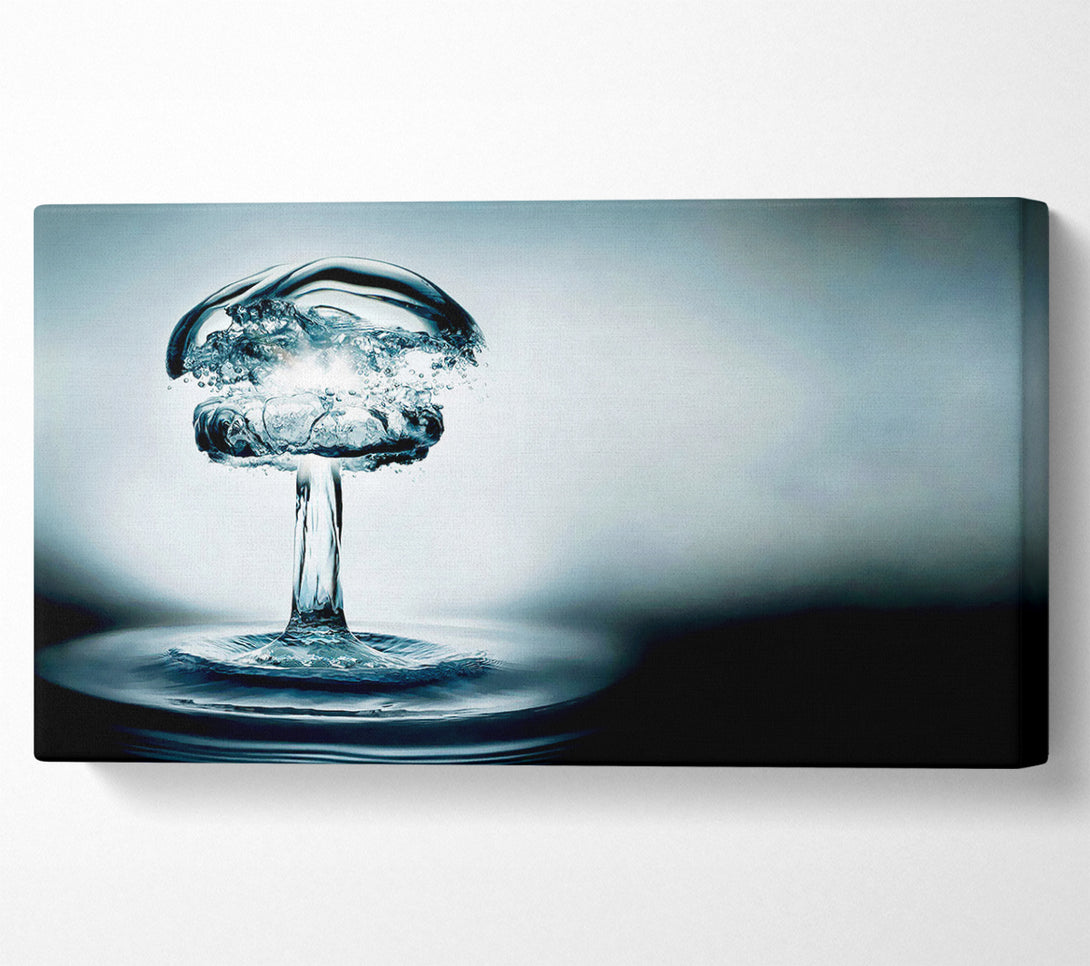  A Canvas Print of Water Bomb Canvas Art