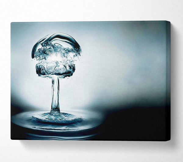  A Canvas Print of Water Bomb Canvas Art