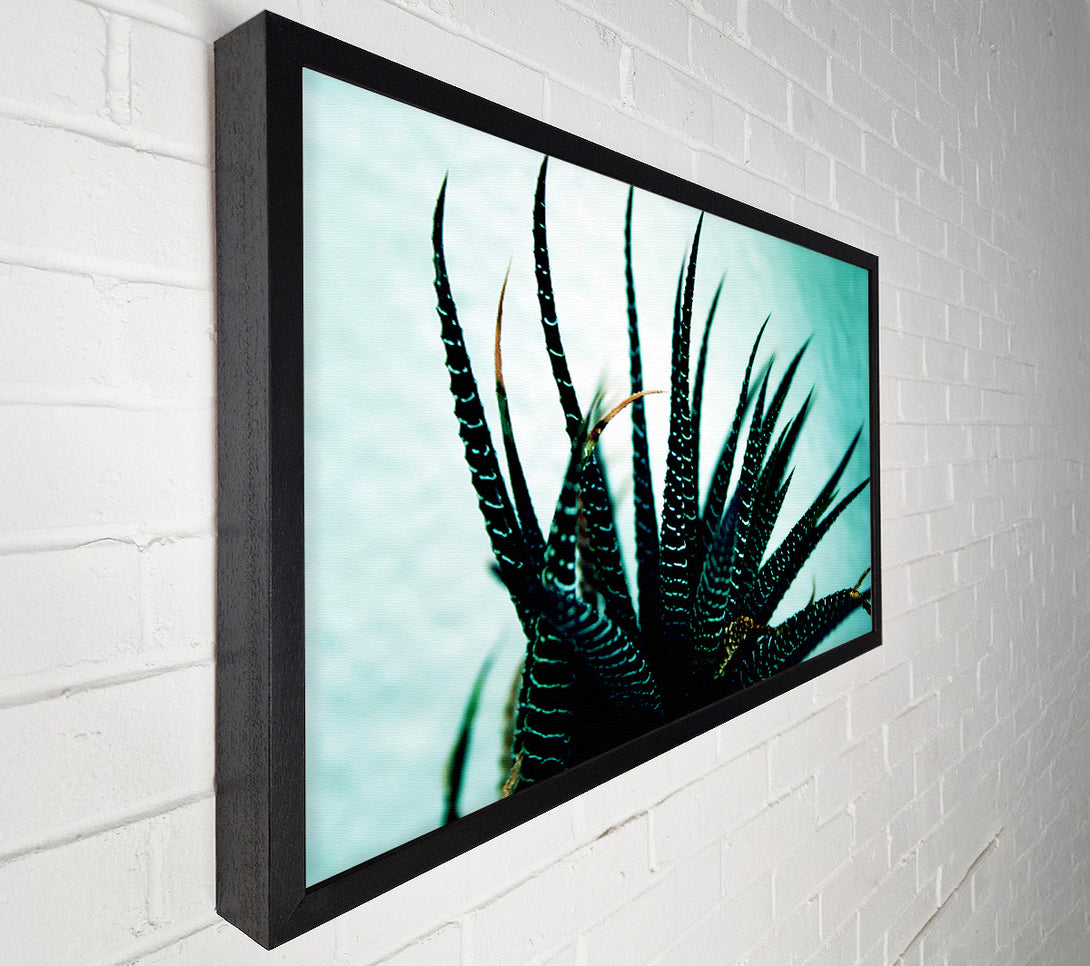  A Canvas Print of Sea Urchin Canvas Wall Art