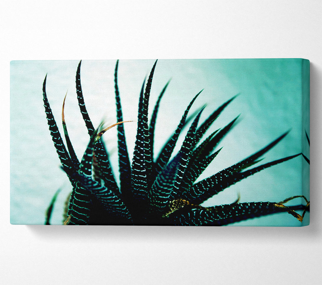  A Canvas Print of Sea Urchin Canvas Wall Art