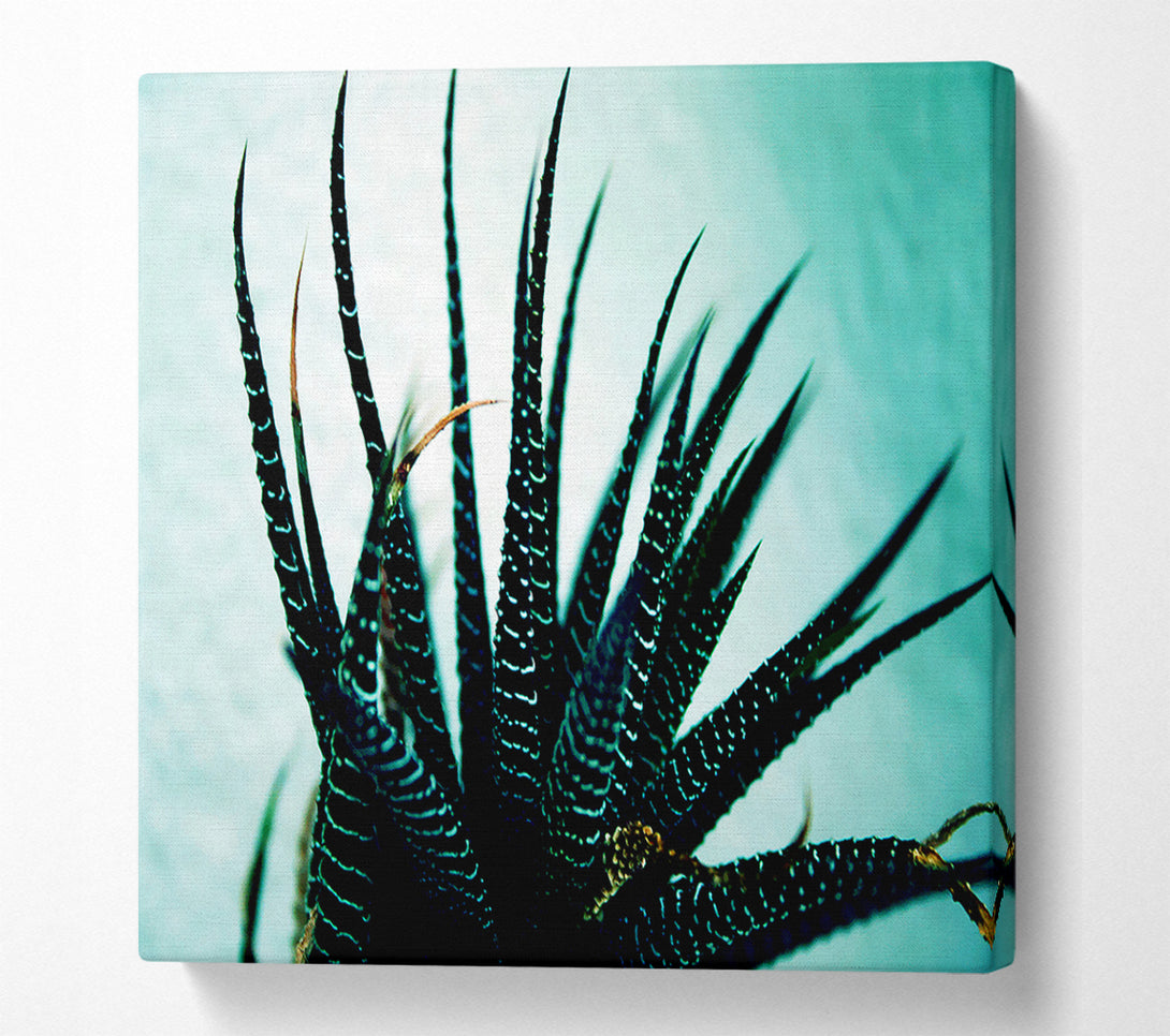  A Canvas Print of Sea Urchin Canvas Wall Art