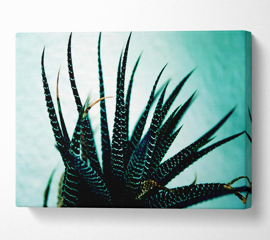  A Canvas Print of Sea Urchin Canvas Wall Art