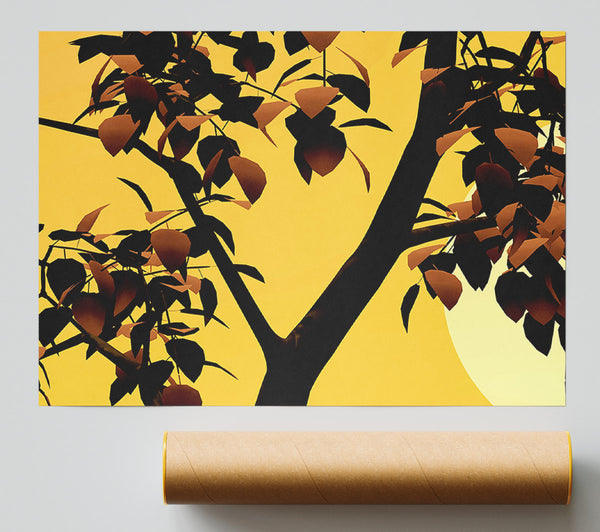Branches In Sunlight Poster
