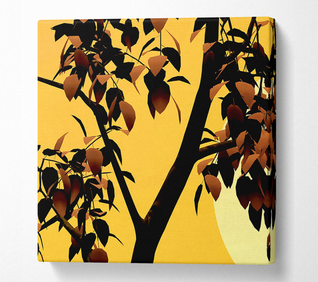  A Canvas Print of Branches In Sunlight Canvas Art