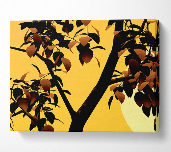  A Canvas Print of Branches In Sunlight Canvas Art