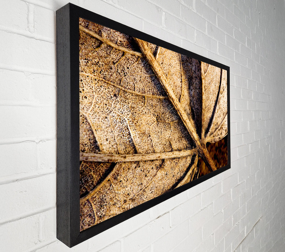  A Canvas Print of The Life Of A Leaf Chocolate Canvas Wall Art