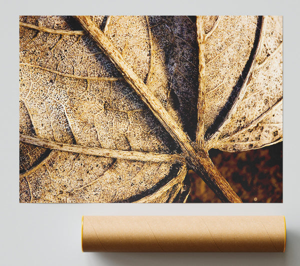 The Life Of A Leaf Chocolate Print