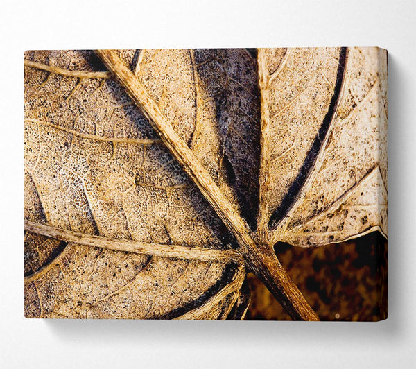  A Canvas Print of The Life Of A Leaf Chocolate Canvas Wall Art