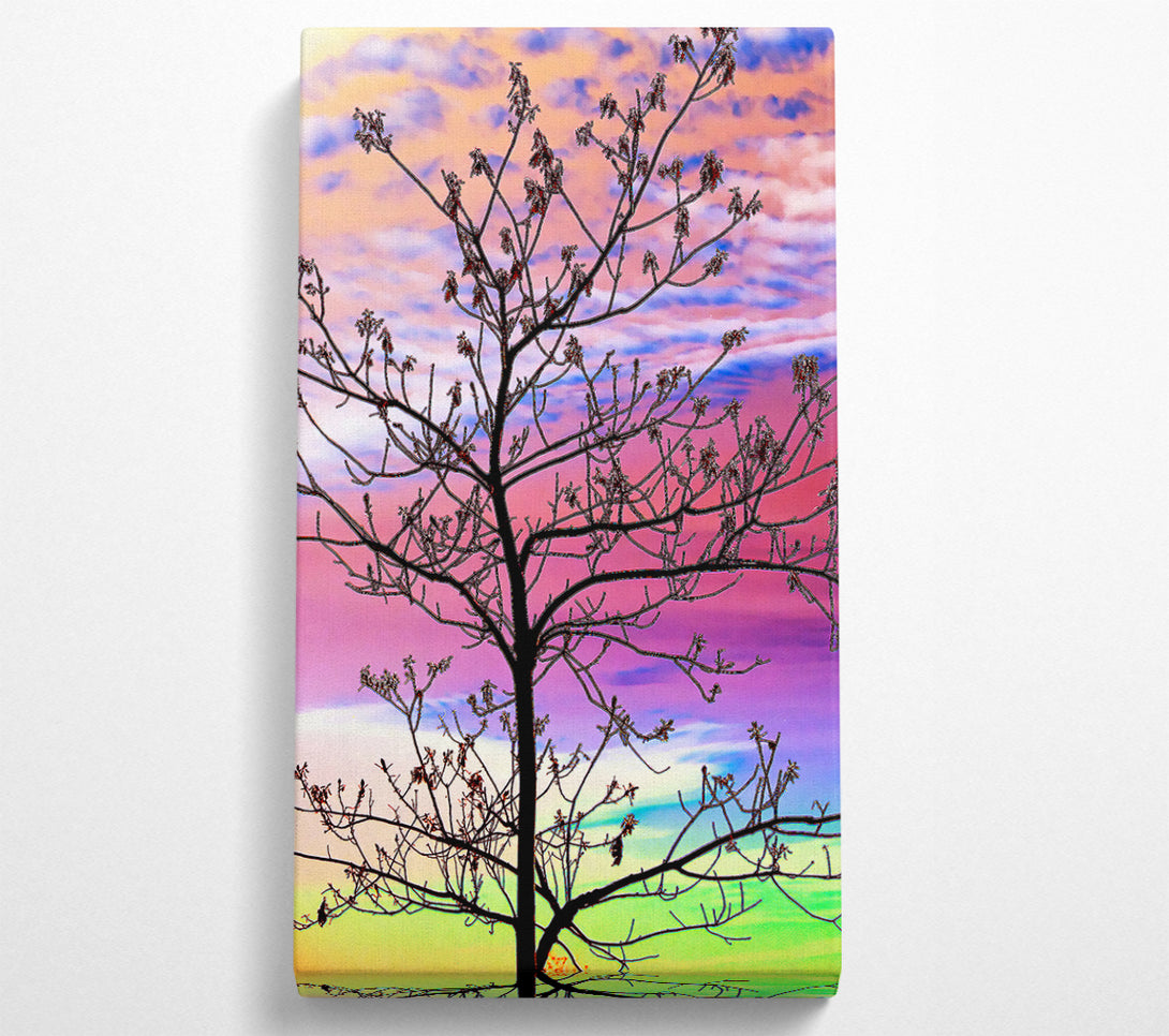  A Canvas Print of Rainbow Skies Canvas Art