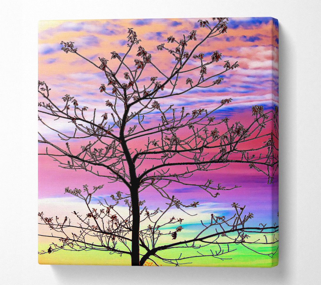  A Canvas Print of Rainbow Skies Canvas Art