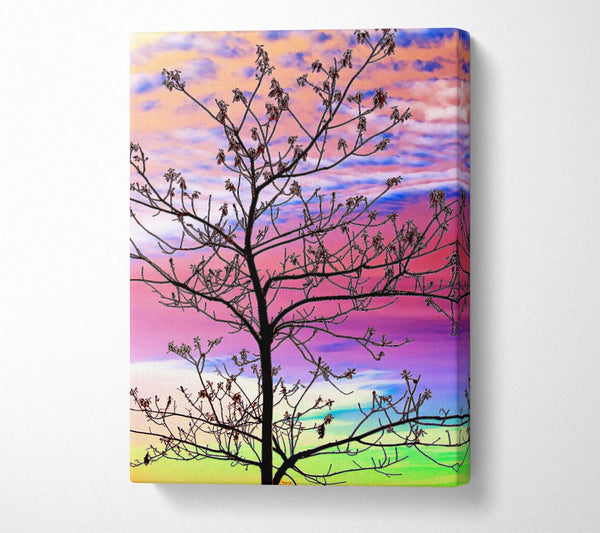  A Canvas Print of Rainbow Skies Canvas Art
