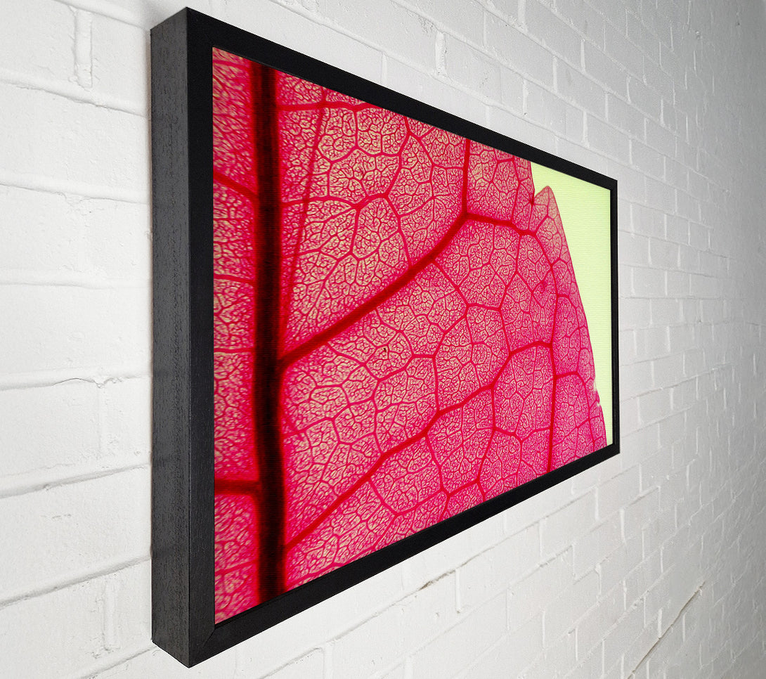  A Canvas Print of Pink Leave Beauty Canvas Art