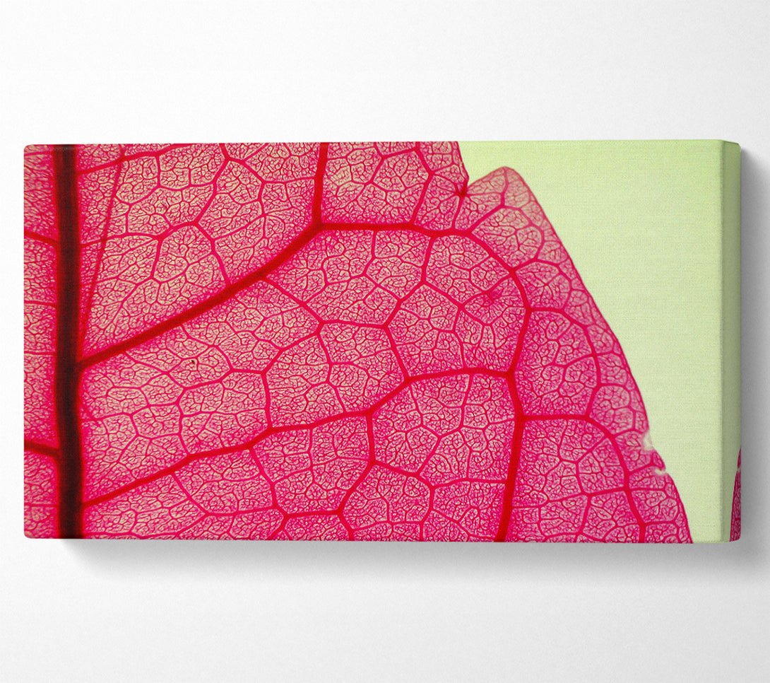  A Canvas Print of Pink Leave Beauty Canvas Art