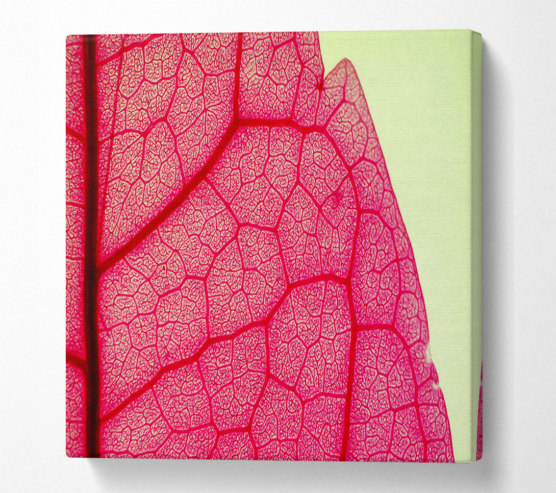  A Canvas Print of Pink Leave Beauty Canvas Art