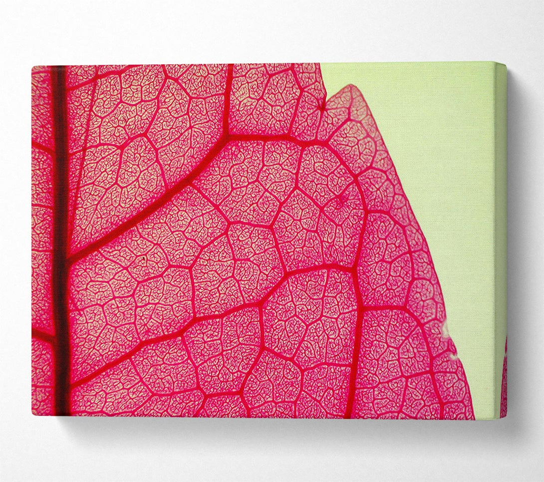  A Canvas Print of Pink Leave Beauty Canvas Art