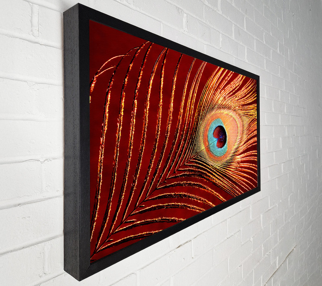  A Canvas Print of Peacock Feather 06 Canvas Wall Art