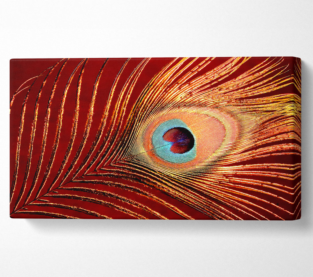  A Canvas Print of Peacock Feather 06 Canvas Wall Art