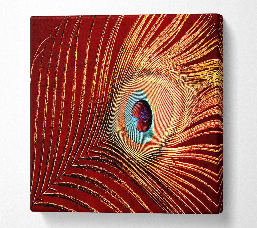  A Canvas Print of Peacock Feather 06 Canvas Wall Art